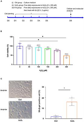 The <mark class="highlighted">transcriptome profile</mark> of RPE cells by the fullerenol against hydrogen peroxide stress